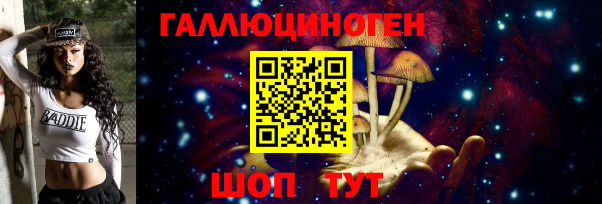 Псилоцибиновые грибы Psilocybine cubensis Нижнеудинск